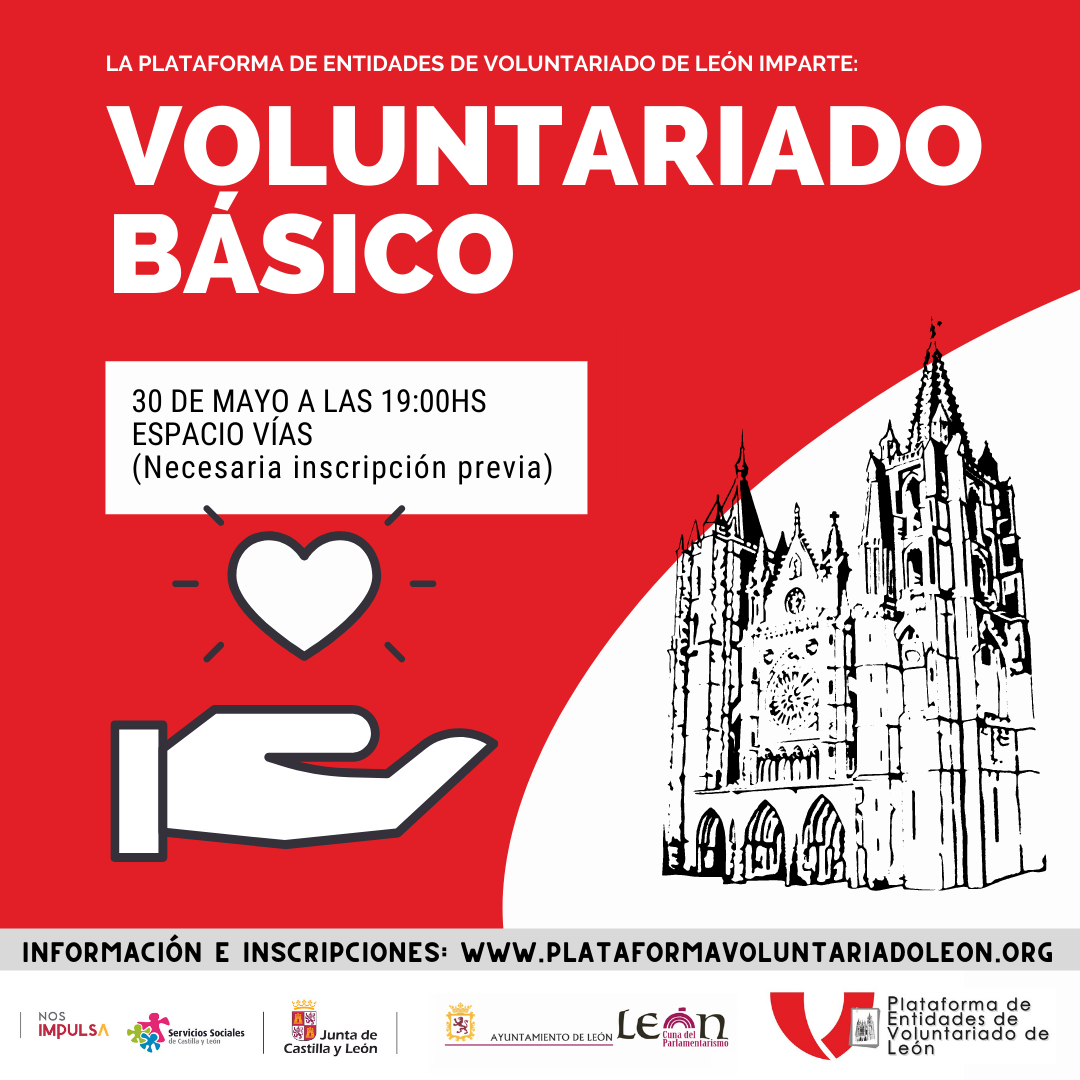 CURSO DE VOLUNTARIADO BÁSICO VÍAS (Post de Instagram)